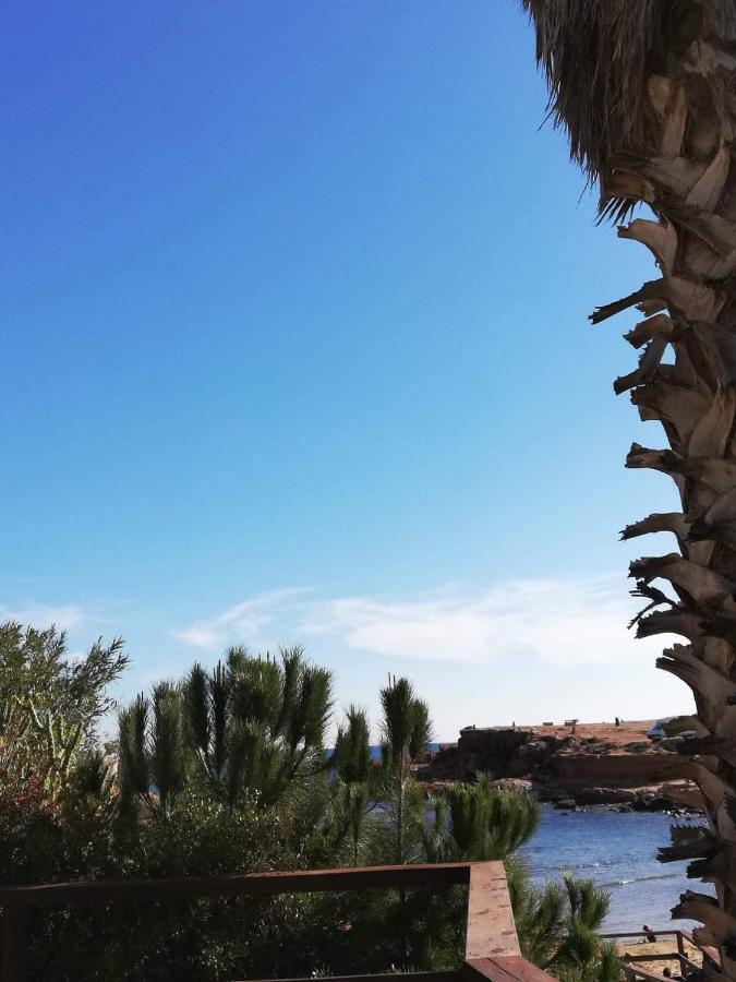 Perfect For Exploring Local Areas And More تورّيفيِخا المظهر الخارجي الصورة