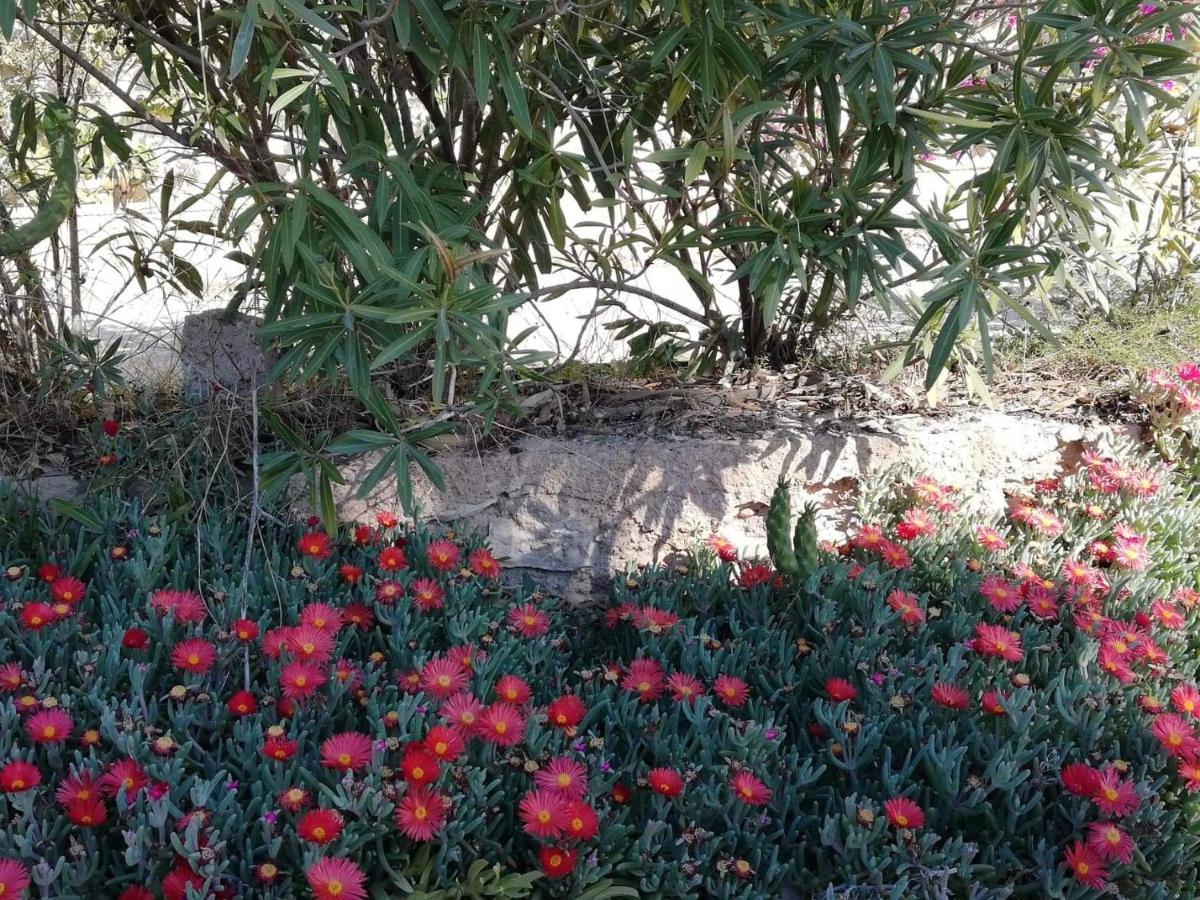 Perfect For Exploring Local Areas And More تورّيفيِخا المظهر الخارجي الصورة