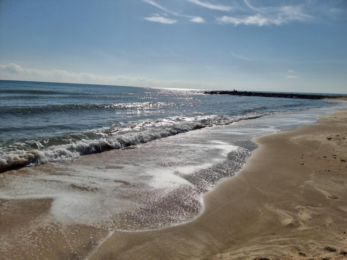 Perfect For Exploring Local Areas And More تورّيفيِخا المظهر الخارجي الصورة